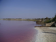 Unbenannt35