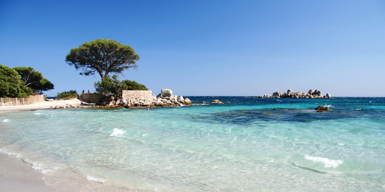 spiaggia di palombaggia