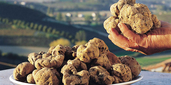 tartufo santagata