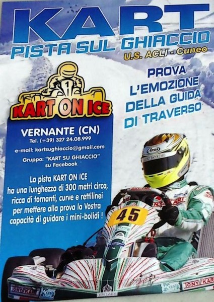 go kart1