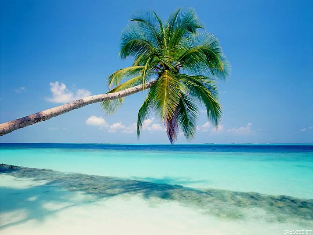 santo domingo