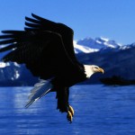7 buone ragioni per visitare l'Alaska in inverno