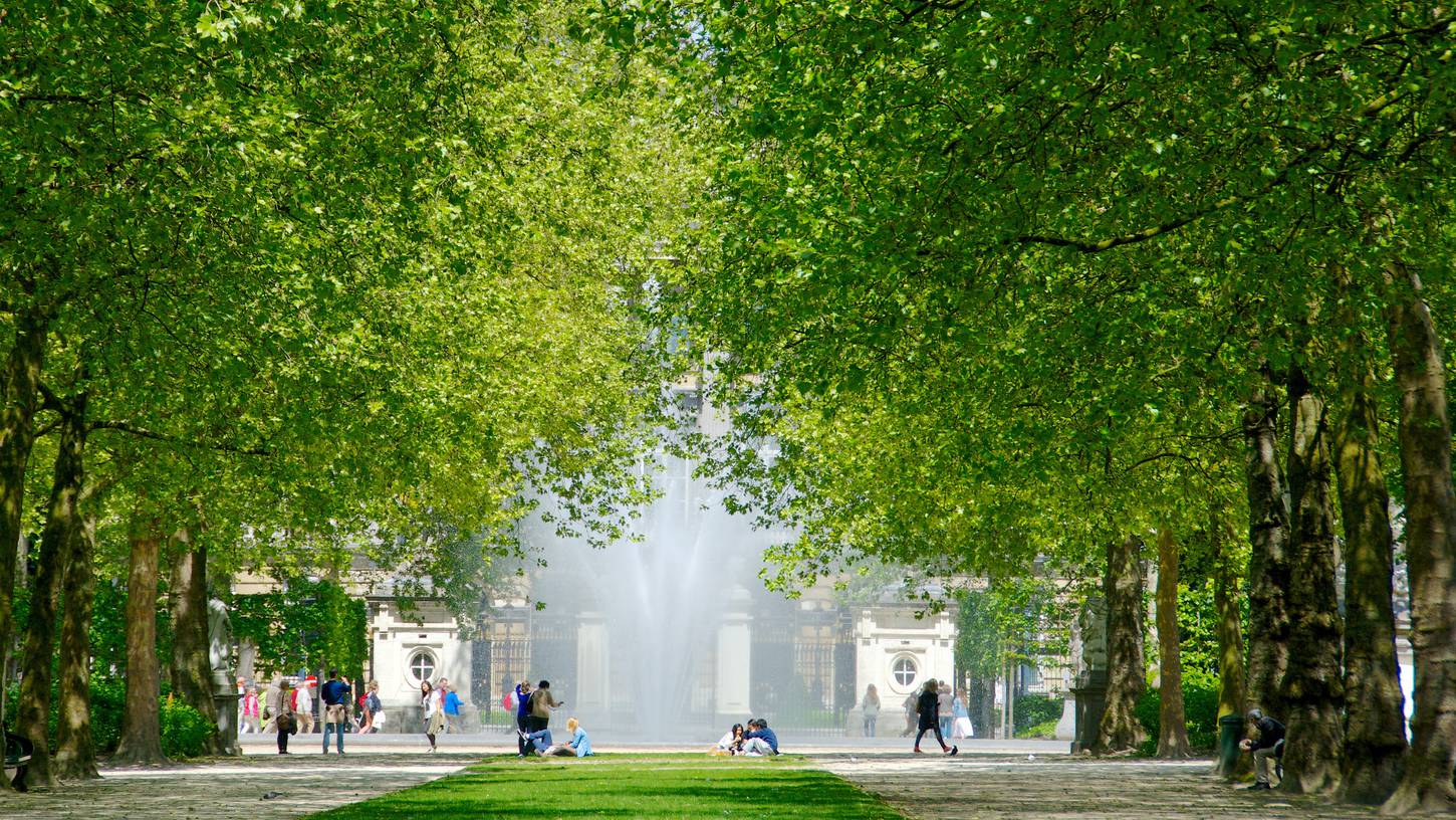 Brussels and vicinity 178241 smalltabletRetina