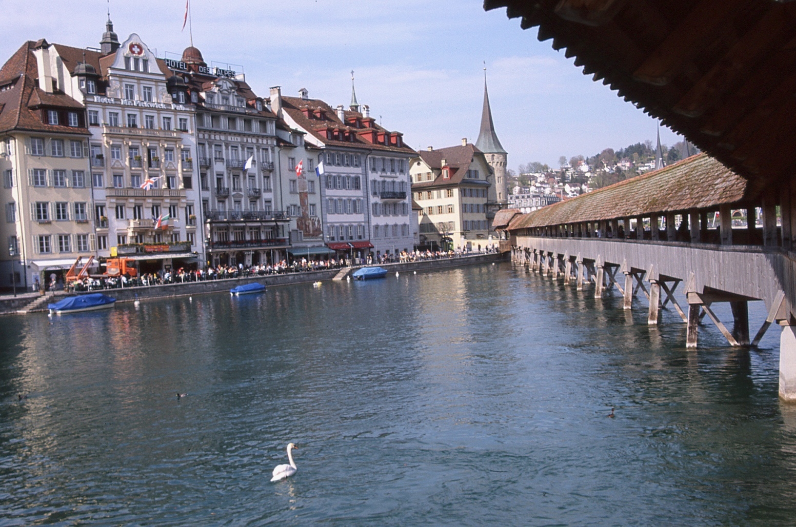 Lucerna