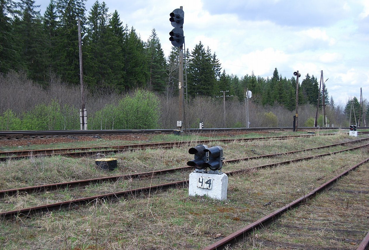 DSC 5758