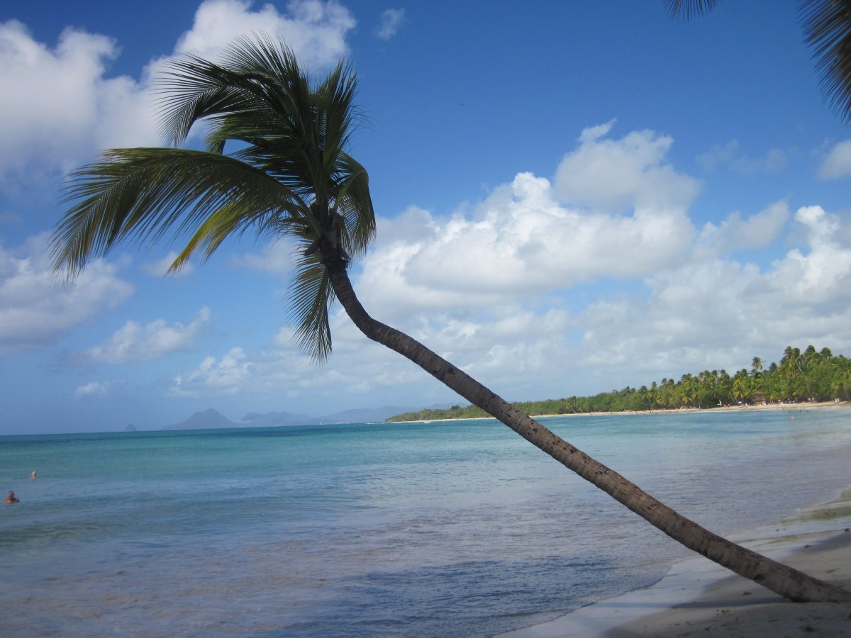 Caraibi