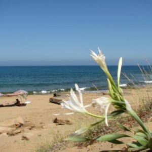 Costa Verde