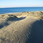 dune capocotta