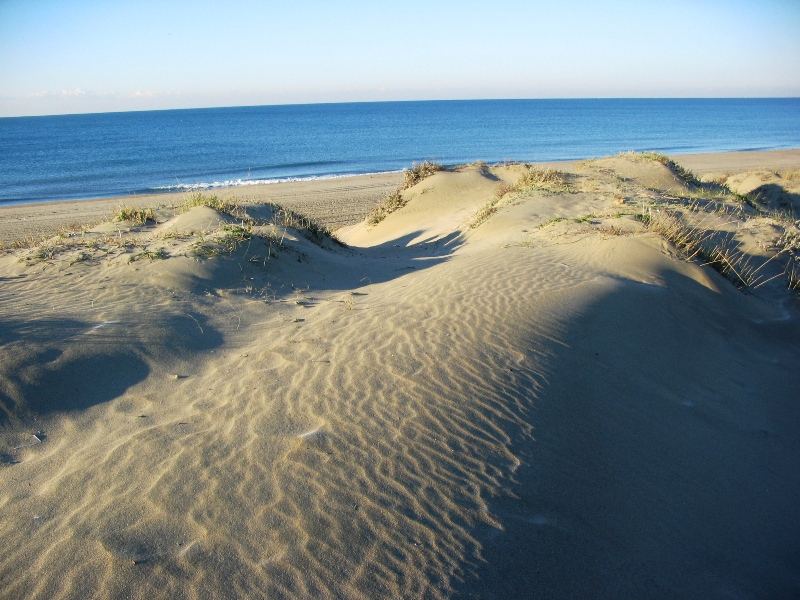 dune capocotta