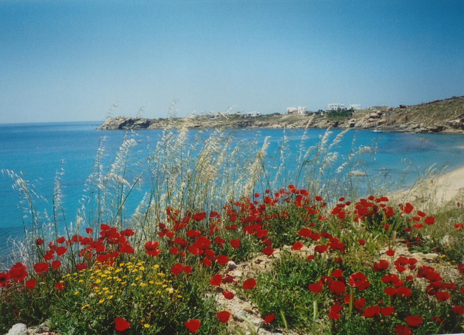 mikonos 4