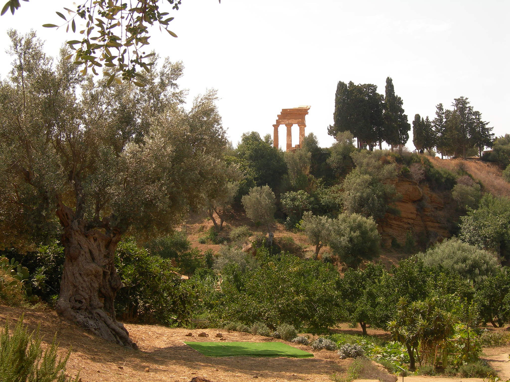 Agrigento kolymbetra