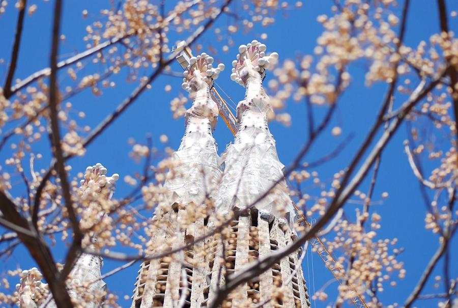 Spring in Barcelona