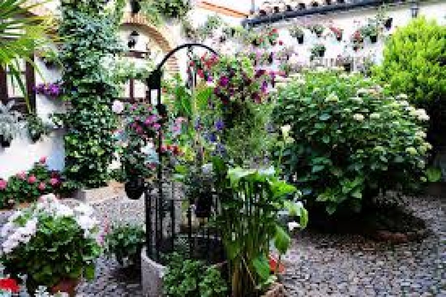 imagesX2EU578L