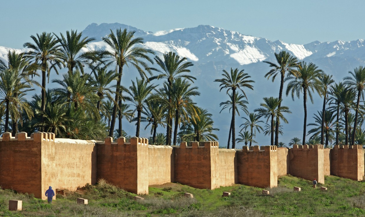 palmeraie marrakech maroc 1240x736
