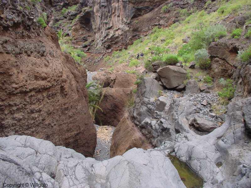 C La Gomera Escursionismo 9d29471a6bc0478c81fd84e6d5d3ac5e