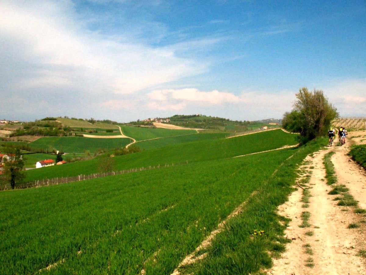 Paesaggio collinare Colline del Monferrato