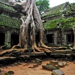 angkor wat cambogia