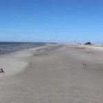 images 22