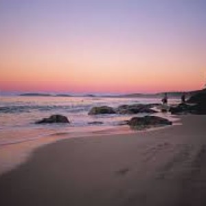 images 7