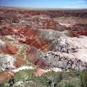 images14