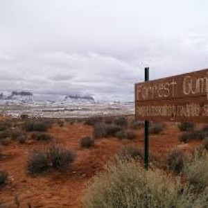 images9
