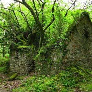 kerry way irlanda