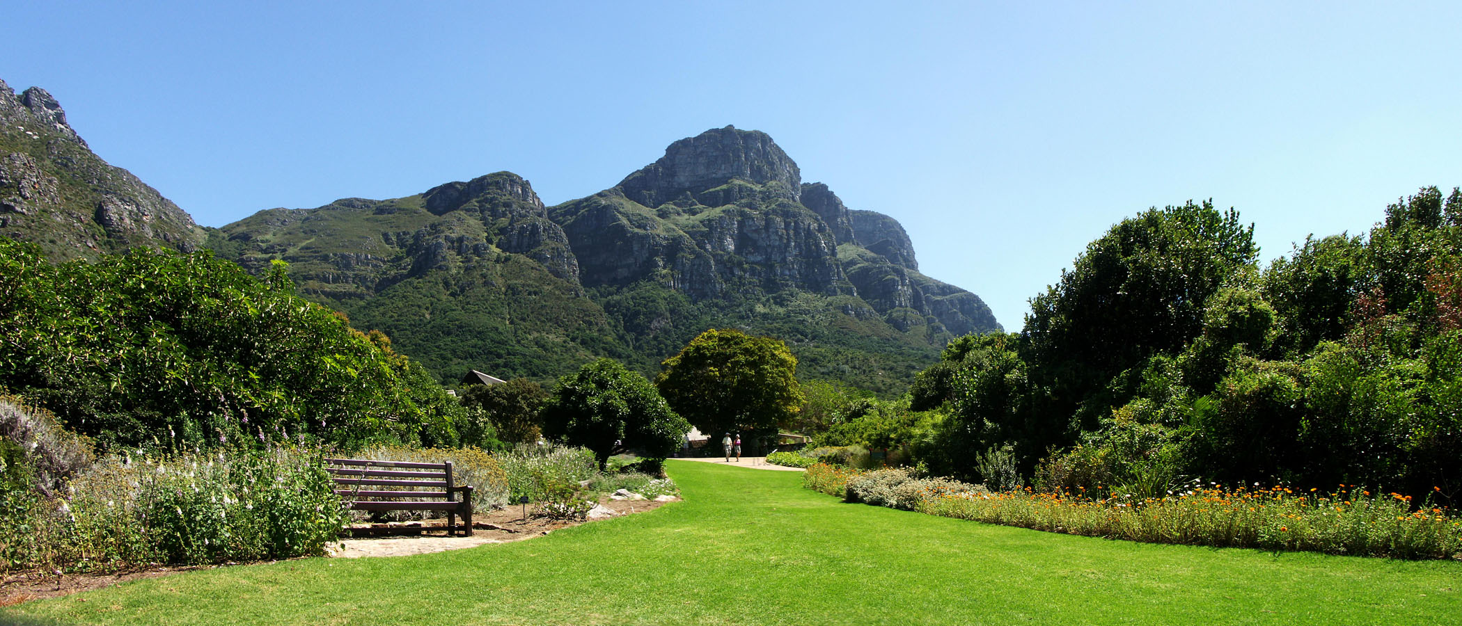 Kirstenbosch   View from the Botanical Gardens