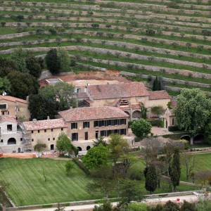 PITT JOLIE VINO1