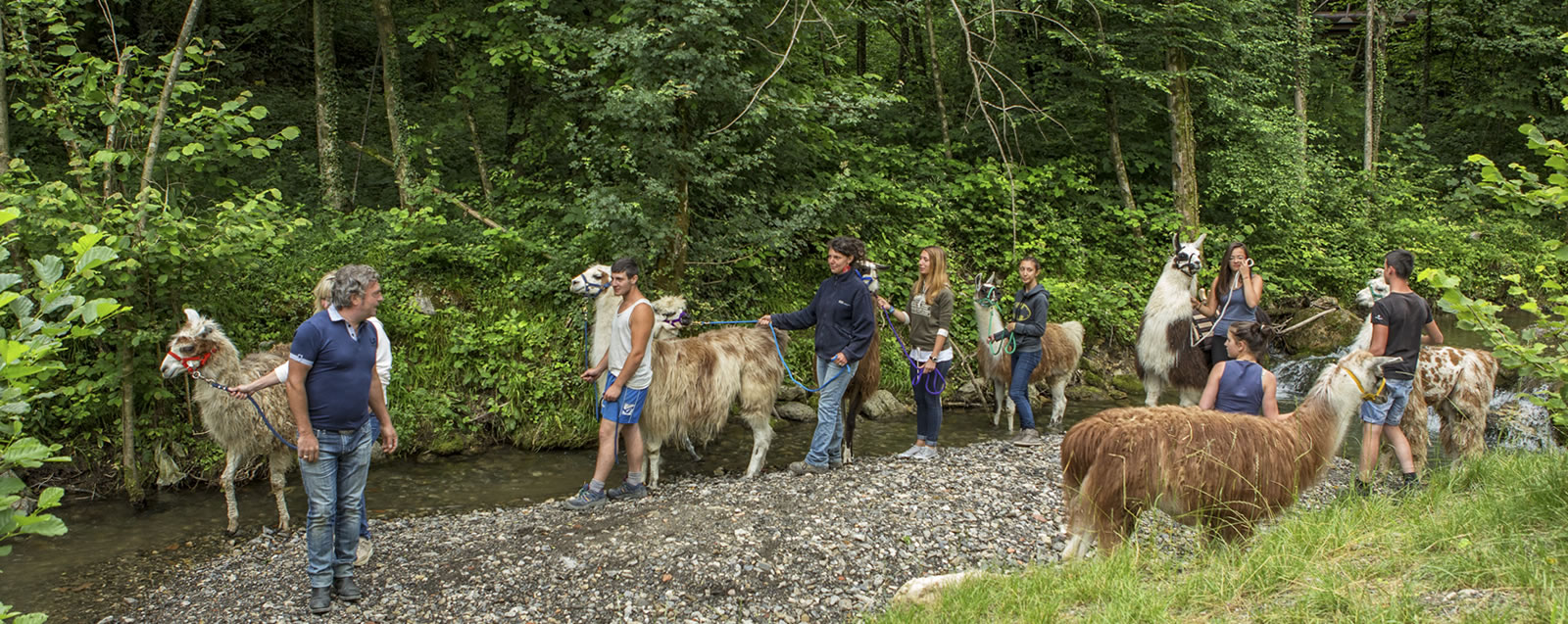 agriturismo scuderia della valle lama