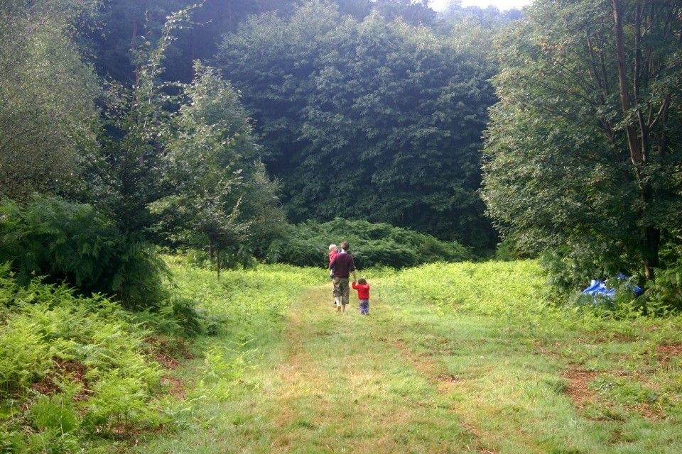 eco camp uk at beech estate woodland campsite south east england east sussex large