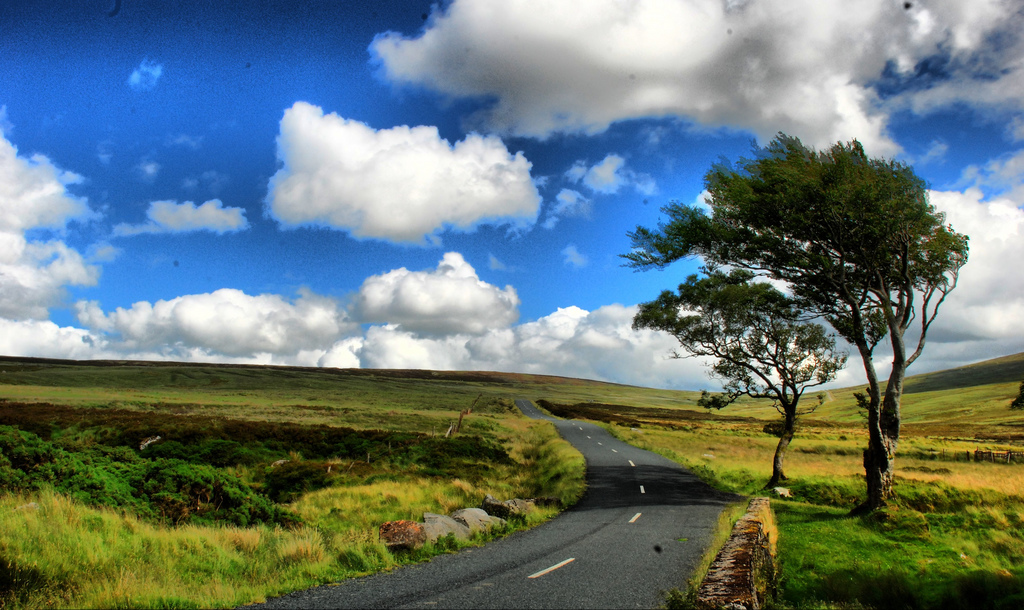sally gap