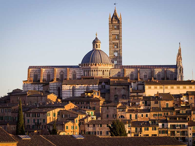 siena veduta duomo