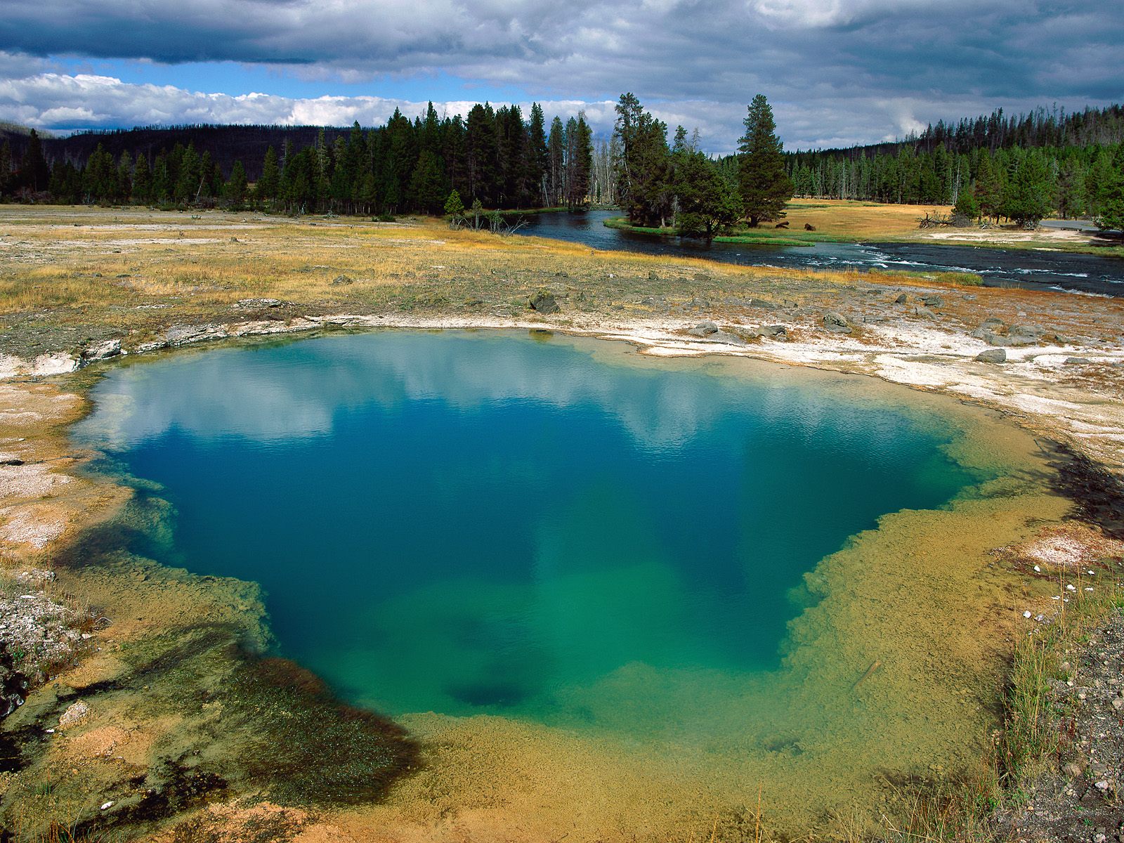 yellowstone 6