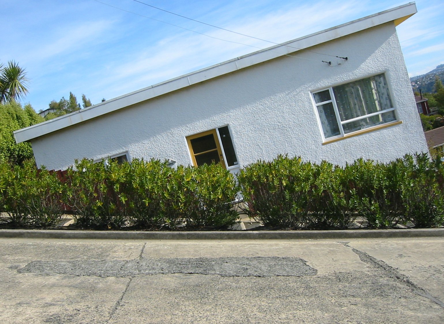 Baldwin Street New Zealand