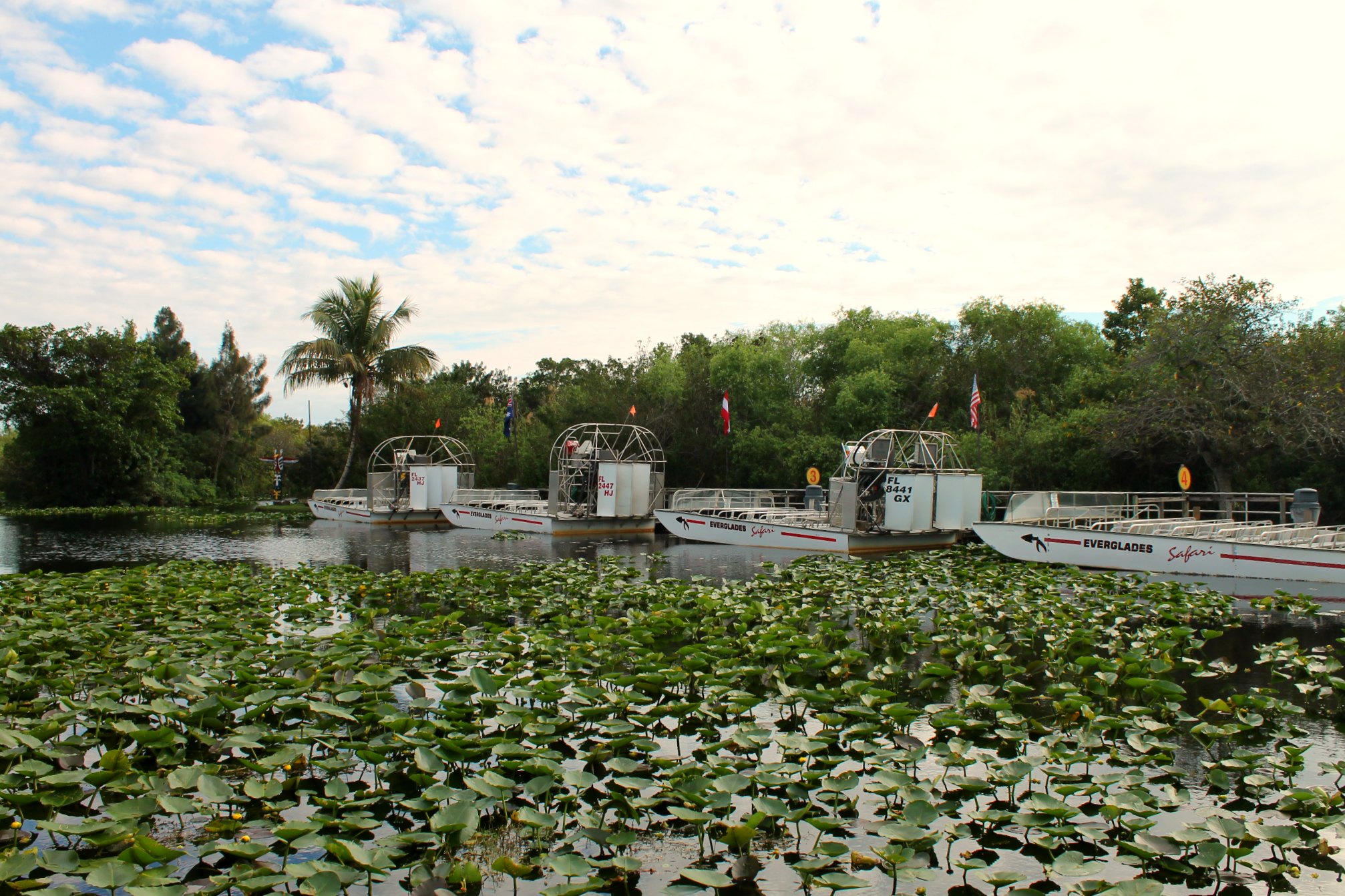 Everglades pensieriinviaggio4