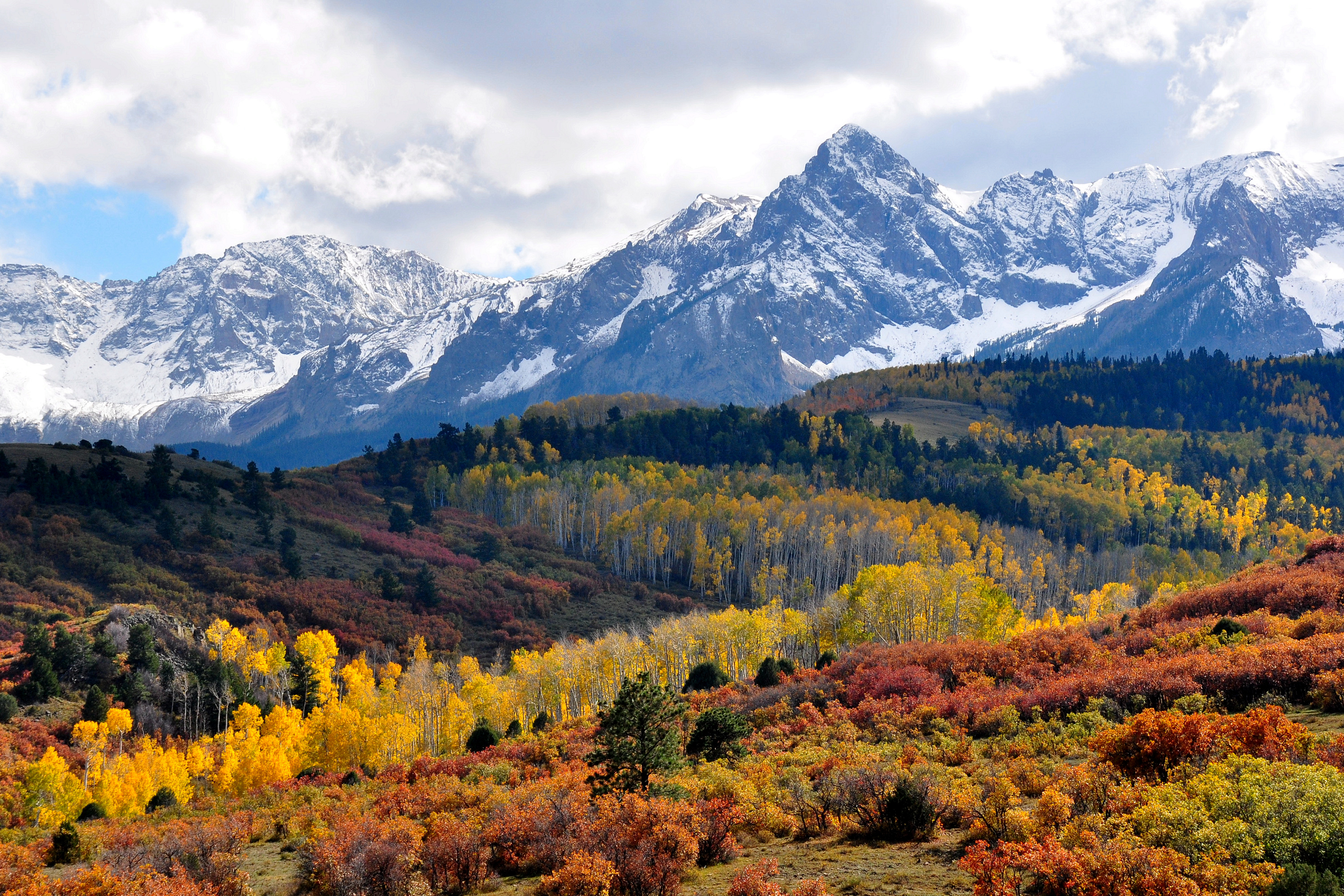Fall colors near Ridgway Colorado