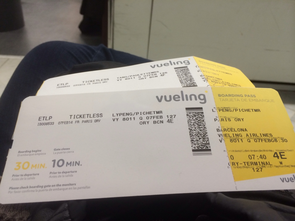 biglietto aereo