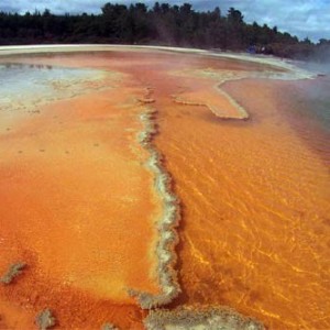 champagne pool 4