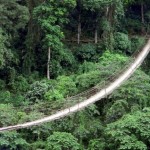 il ponte sospeso di sangam in india