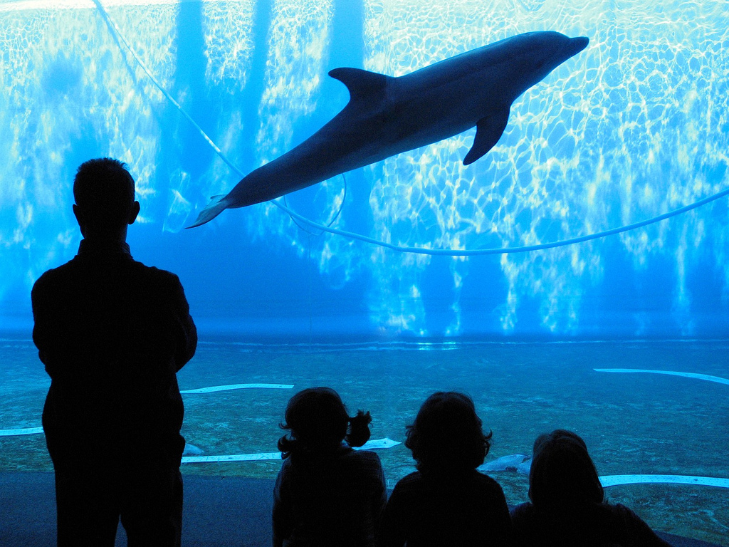 acquario genova