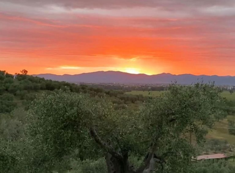 agriturismo gli archi grosseto