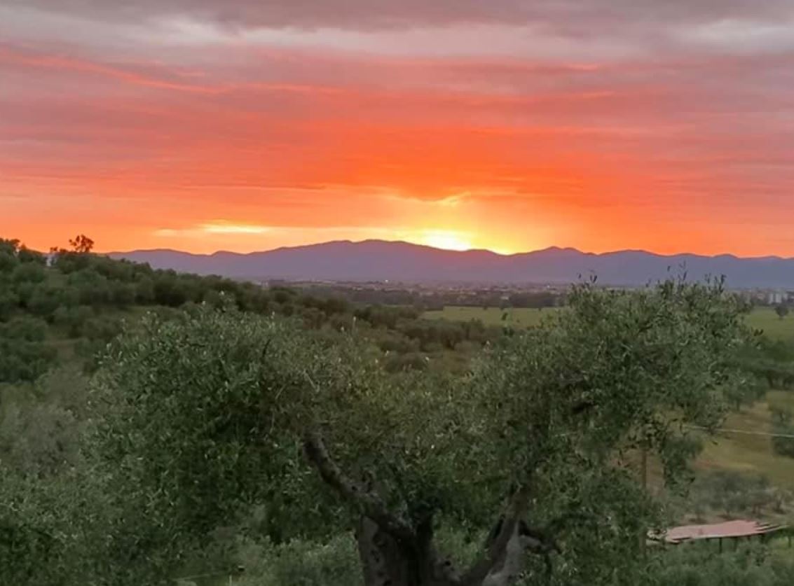 agriturismo gli archi grosseto