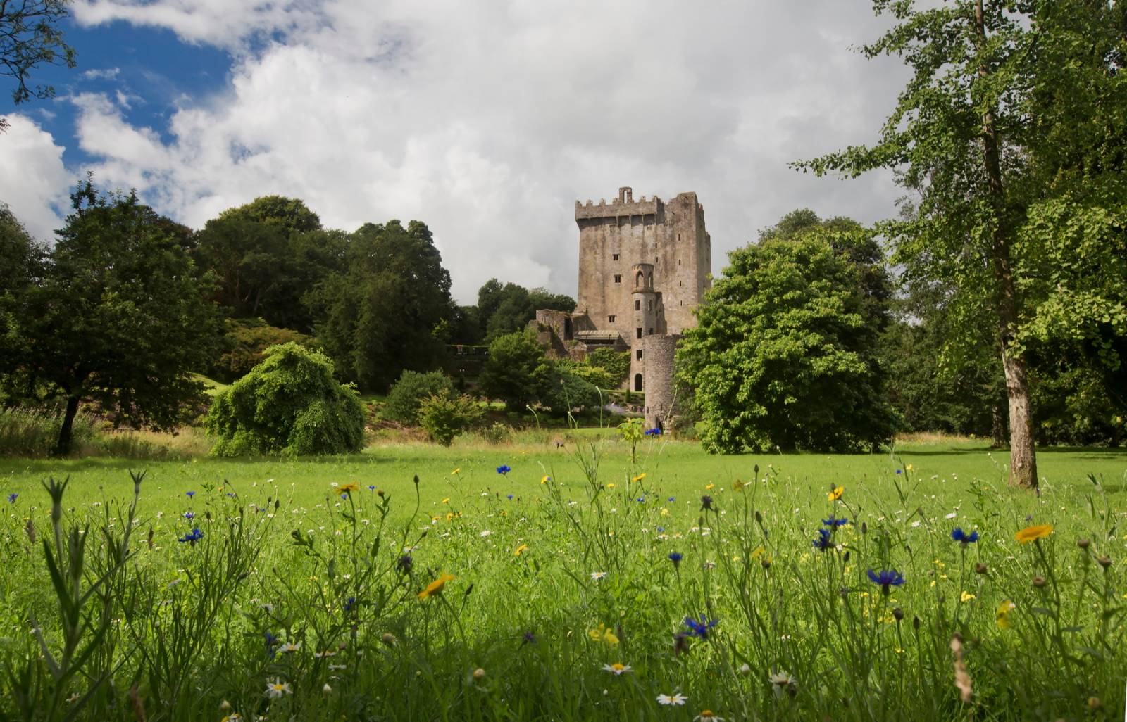 blarney castle