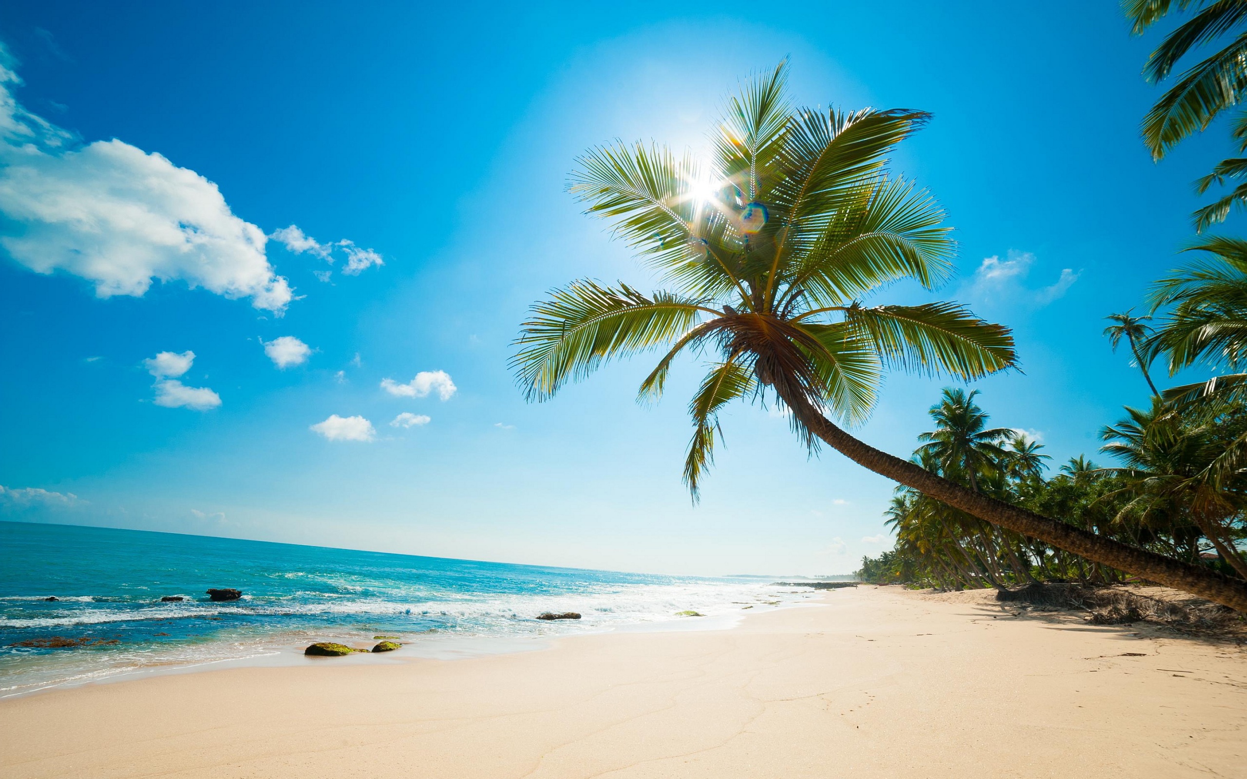 caribbean beach