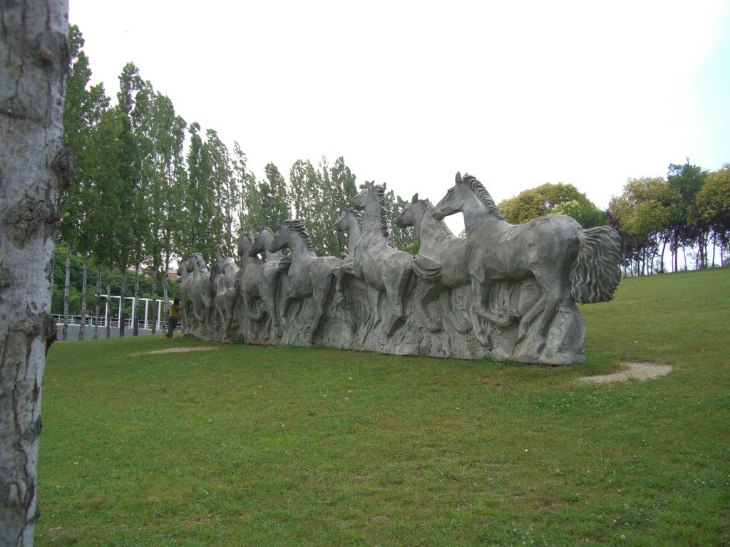 cavalli
