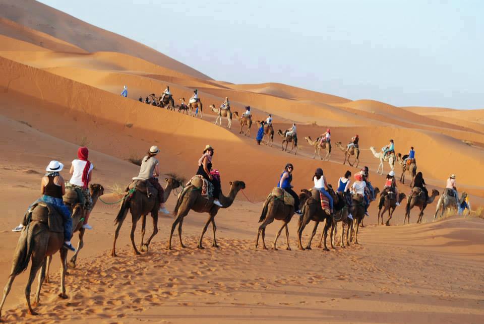 desert tour