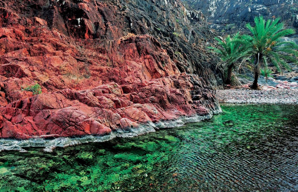 isola di socotra.T0 1024x662