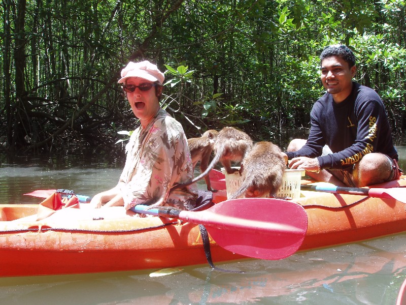 new kayak surprise