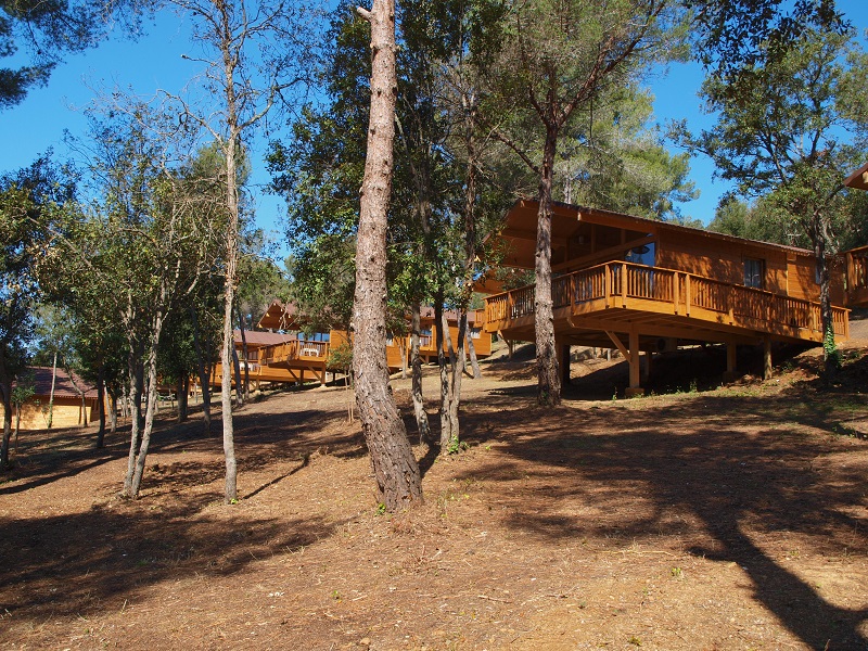 pere eco bungalows 21 1405366150