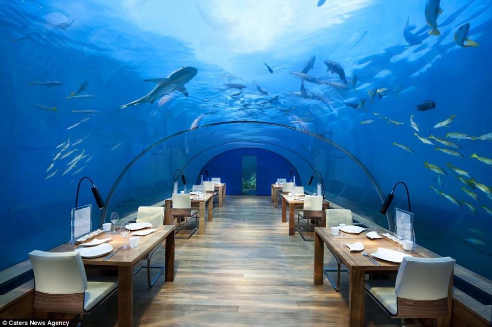 ristorante conrad maldives 327311